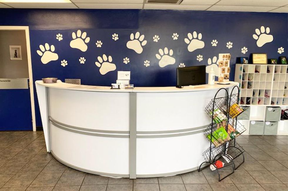 the woof room reception